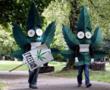 All American Cannabis Club (A2C2) to Host BBQ in Honor of the Global...